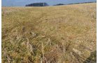 Property photo 4 - 98+/- Acres Offered in 6 Tracts or Combinations, Noble County, Indiana Farm